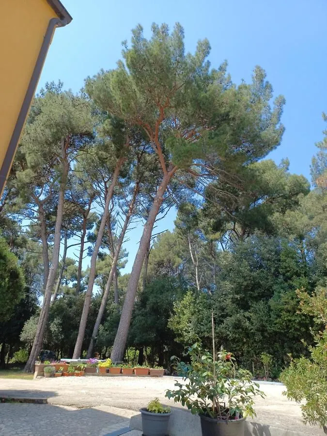 Studio Apartments Seka Rovinj