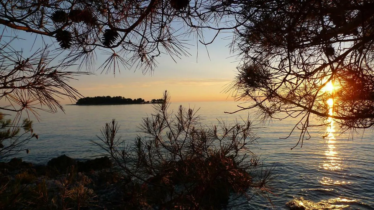 Studio Apartments Seka Rovinj